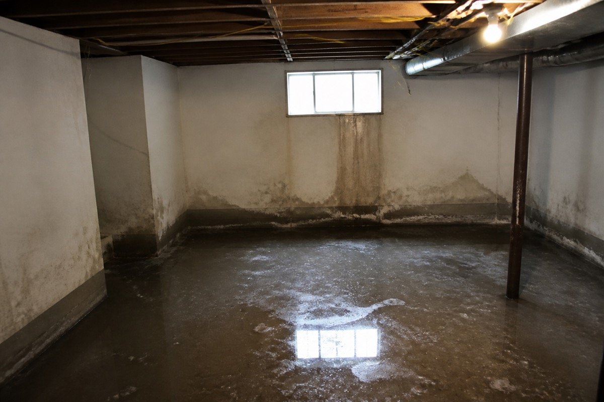 Basement flood restoration — sump pump failure — before